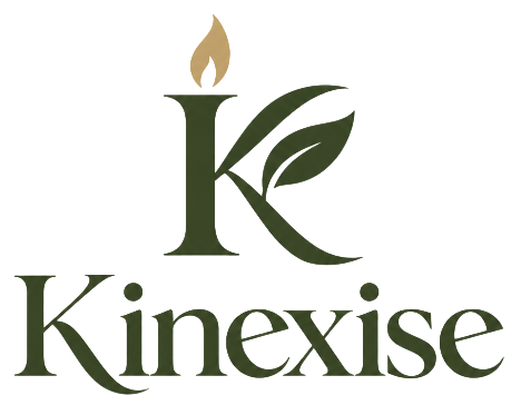 Kinexis INC
